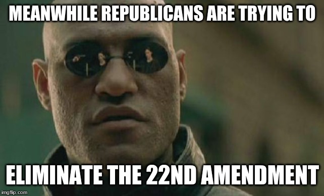 Matrix Morpheus Meme | MEANWHILE REPUBLICANS ARE TRYING TO ELIMINATE THE 22ND AMENDMENT | image tagged in memes,matrix morpheus | made w/ Imgflip meme maker
