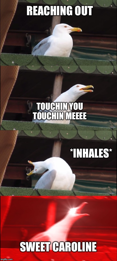 Inhaling Seagull Meme | REACHING OUT; TOUCHIN YOU
TOUCHIN MEEEE; *INHALES*; SWEET CAROLINE | image tagged in memes,inhaling seagull | made w/ Imgflip meme maker