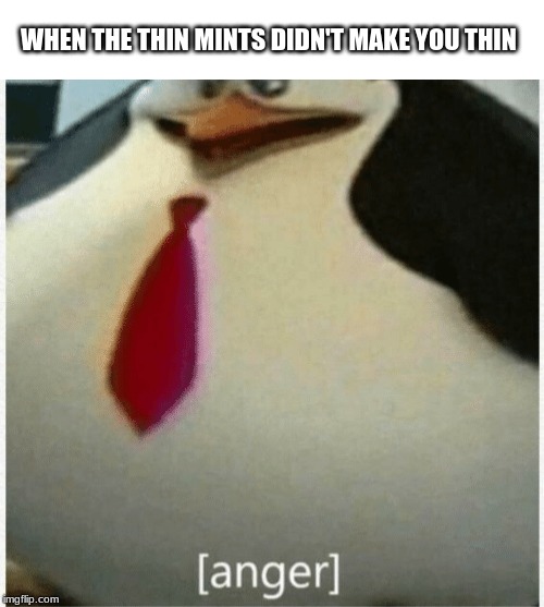 Angery Skipper | WHEN THE THIN MINTS DIDN'T MAKE YOU THIN | image tagged in angery skipper | made w/ Imgflip meme maker