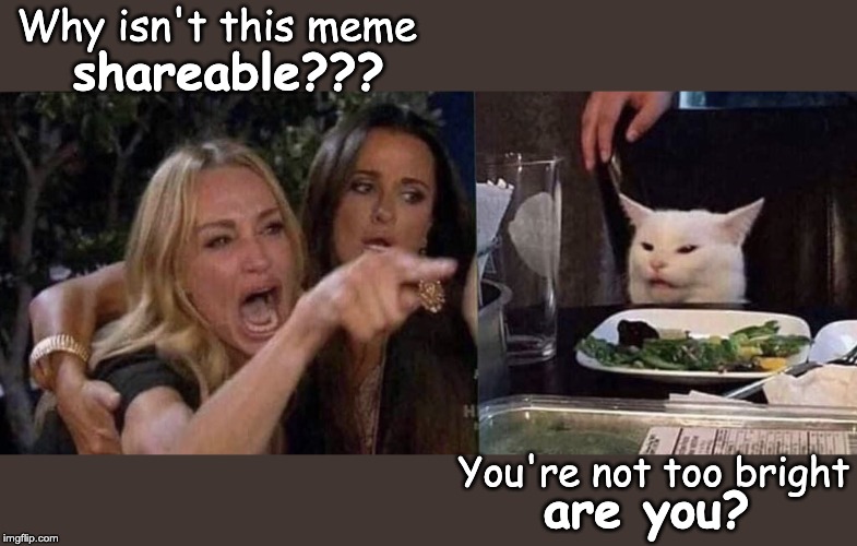 woman yelling at cat | Why isn't this meme; shareable??? You're not too bright; are you? | image tagged in woman yelling at cat | made w/ Imgflip meme maker