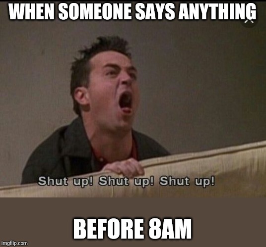 Shut up Chandler | WHEN SOMEONE SAYS ANYTHING; BEFORE 8AM | image tagged in shut up chandler | made w/ Imgflip meme maker