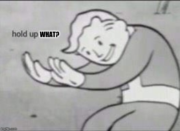Fallout Hold Up | WHAT? | image tagged in fallout hold up | made w/ Imgflip meme maker