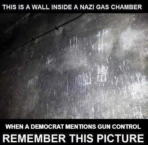 When a Democrat Mentions Gun Control Remember This Picture | WHEN A DEMOCRAT MENTIONS GUN CONTROL | image tagged in auschwitz,treblinka,gas chambers,nazis,useful idiots,liberals | made w/ Imgflip meme maker