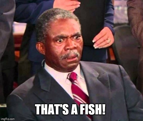 thats a penis | THAT'S A FISH! | image tagged in thats a penis | made w/ Imgflip meme maker
