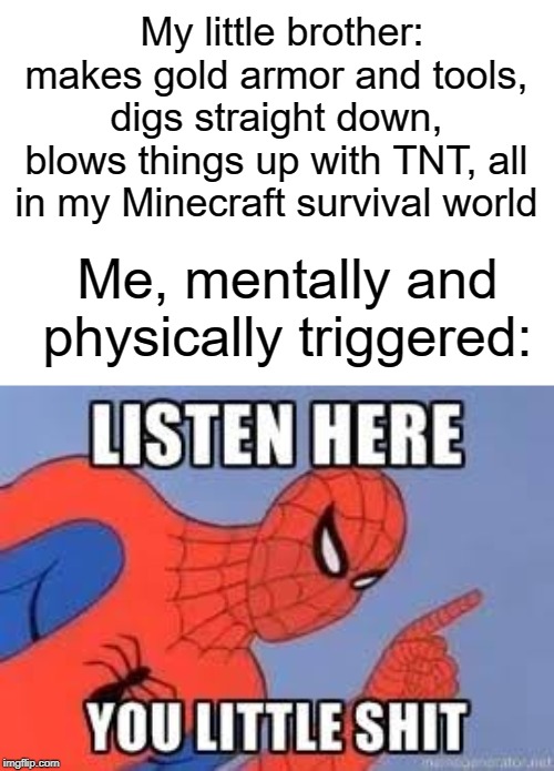 Little brothers these days | My little brother: makes gold armor and tools, digs straight down, blows things up with TNT, all in my Minecraft survival world; Me, mentally and physically triggered: | image tagged in now listen here you little shit,funny,memes,gold,tnt,minecraft | made w/ Imgflip meme maker