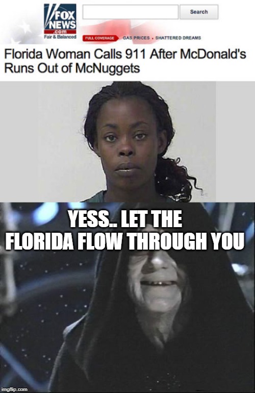 fox news alert | YESS.. LET THE FLORIDA FLOW THROUGH YOU | image tagged in yess let the hate flow through you,florida man,funny,memes,mcdonalds,fox news | made w/ Imgflip meme maker