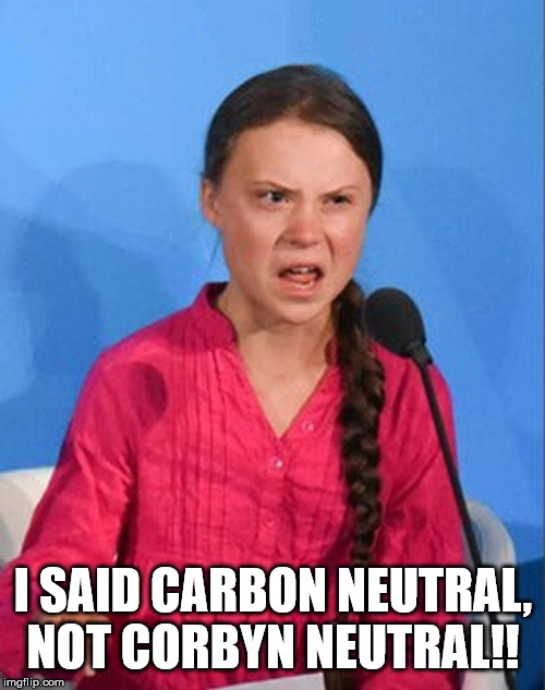 Greta Thunberg how dare you | I SAID CARBON NEUTRAL, NOT CORBYN NEUTRAL!! | image tagged in greta thunberg how dare you | made w/ Imgflip meme maker