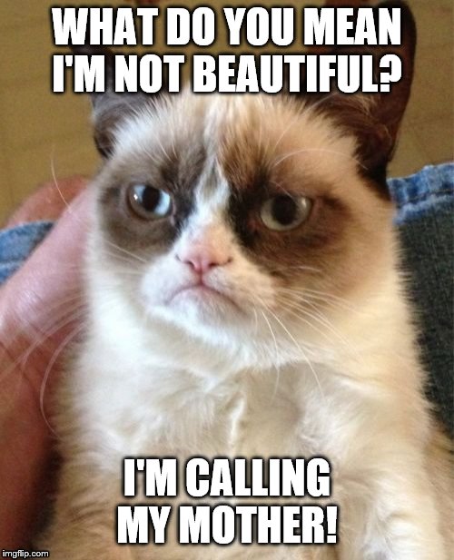 Grumpy Cat | WHAT DO YOU MEAN I'M NOT BEAUTIFUL? I'M CALLING MY MOTHER! | image tagged in memes,grumpy cat | made w/ Imgflip meme maker