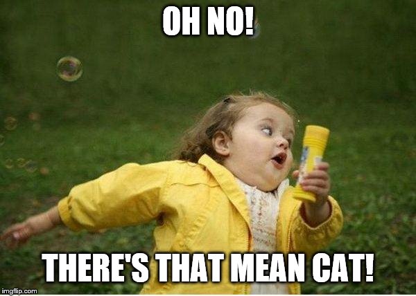 Chubby Bubbles Girl Meme | OH NO! THERE'S THAT MEAN CAT! | image tagged in memes,chubby bubbles girl | made w/ Imgflip meme maker