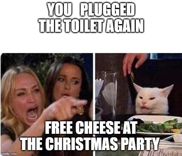 Lady screams at cat | YOU   PLUGGED THE TOILET AGAIN; FREE CHEESE AT THE CHRISTMAS PARTY | image tagged in lady screams at cat | made w/ Imgflip meme maker