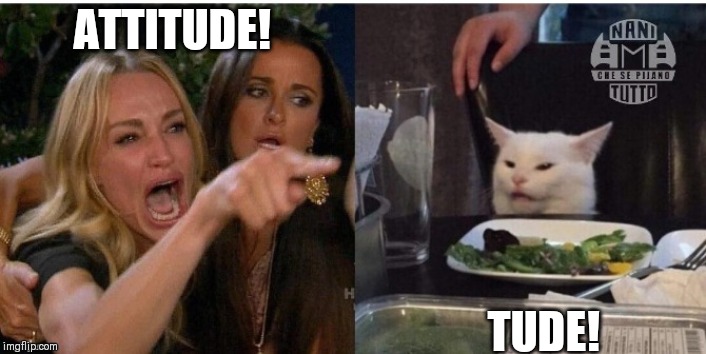white cat table | ATTITUDE! TUDE! | image tagged in white cat table | made w/ Imgflip meme maker