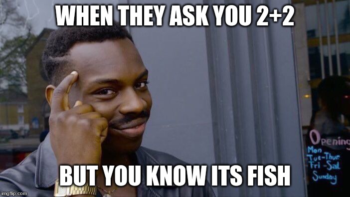 Roll Safe Think About It Meme | WHEN THEY ASK YOU 2+2; BUT YOU KNOW ITS FISH | image tagged in memes,roll safe think about it | made w/ Imgflip meme maker