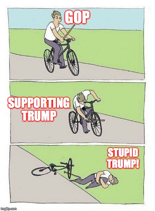 Bike Fall Meme | GOP SUPPORTING TRUMP STUPID TRUMP! | image tagged in bike fall | made w/ Imgflip meme maker