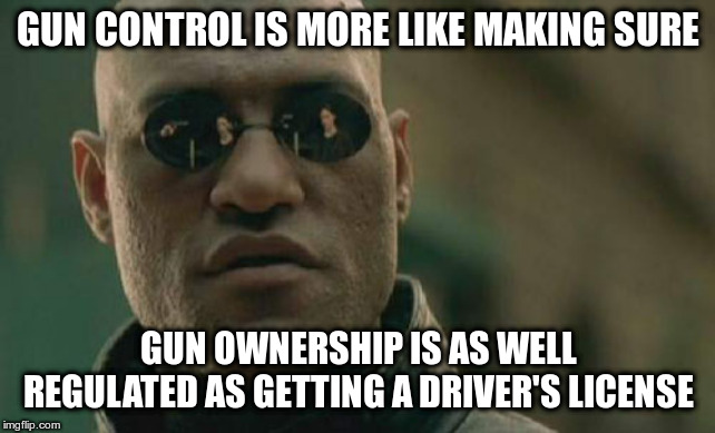 Matrix Morpheus Meme | GUN CONTROL IS MORE LIKE MAKING SURE GUN OWNERSHIP IS AS WELL REGULATED AS GETTING A DRIVER'S LICENSE | image tagged in memes,matrix morpheus | made w/ Imgflip meme maker