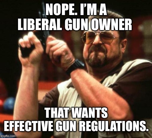 gun | NOPE. I’M A LIBERAL GUN OWNER THAT WANTS EFFECTIVE GUN REGULATIONS. | image tagged in gun | made w/ Imgflip meme maker