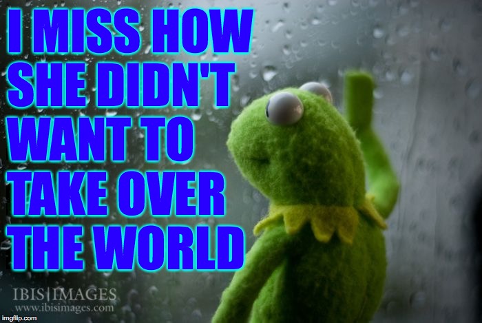 kermit window | I MISS HOW
SHE DIDN'T
WANT TO
TAKE OVER
THE WORLD | image tagged in kermit window | made w/ Imgflip meme maker