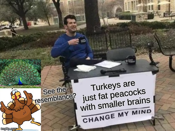 Seriously. | Turkeys are just fat peacocks with smaller brains; See the resemblance? | image tagged in memes,change my mind | made w/ Imgflip meme maker