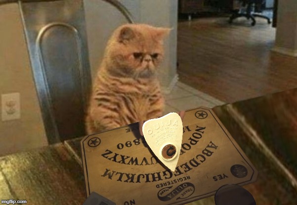 Ouija Cat Blank Meme Template