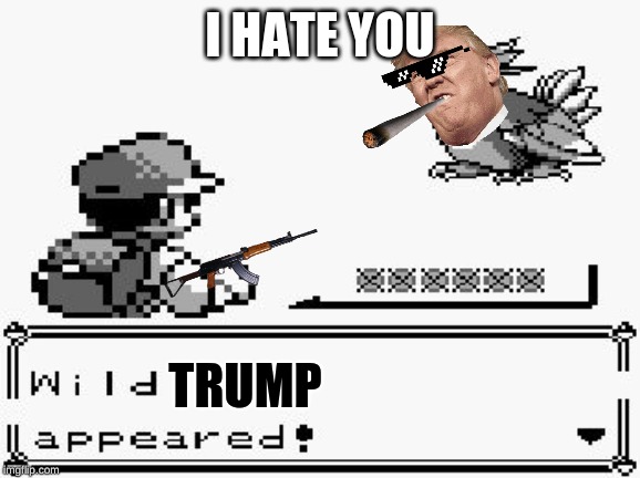 pokemon appears | I HATE YOU; TRUMP | image tagged in pokemon appears | made w/ Imgflip meme maker