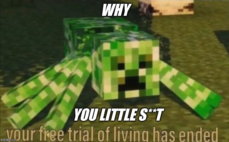 Your Free Trial of Living Has Ended | WHY; YOU LITTLE S**T | image tagged in your free trial of living has ended | made w/ Imgflip meme maker