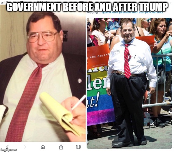 Government before and After Trump | GOVERNMENT BEFORE AND AFTER TRUMP | image tagged in trump,democrat congressmen,congress | made w/ Imgflip meme maker