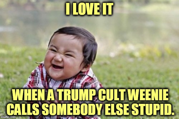 A surefire laugh. | I LOVE IT; WHEN A TRUMP CULT WEENIE CALLS SOMEBODY ELSE STUPID. | image tagged in memes,evil toddler | made w/ Imgflip meme maker