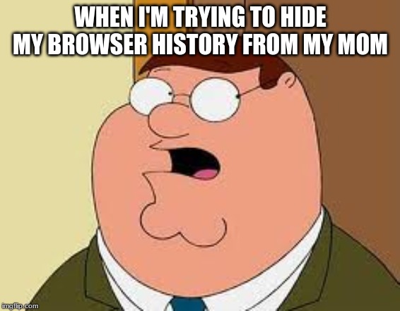 Family Guy Peter Meme |  WHEN I'M TRYING TO HIDE MY BROWSER HISTORY FROM MY MOM | image tagged in memes,family guy peter | made w/ Imgflip meme maker