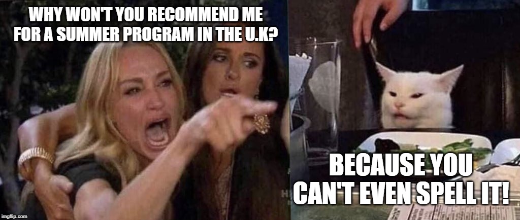 woman yelling at cat | WHY WON'T YOU RECOMMEND ME FOR A SUMMER PROGRAM IN THE U.K? BECAUSE YOU CAN'T EVEN SPELL IT! | image tagged in woman yelling at cat | made w/ Imgflip meme maker