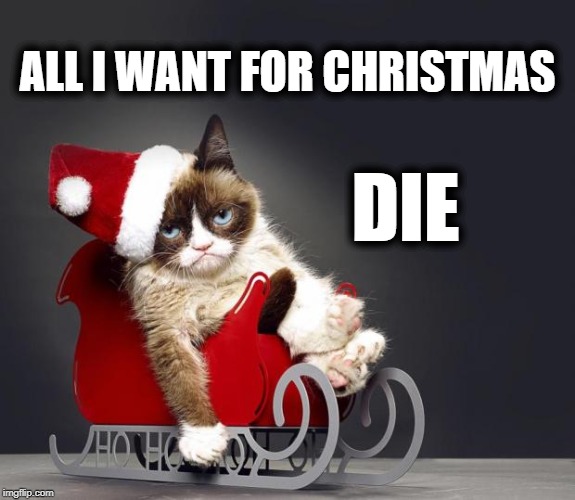 Grumpy Cat Christmas HD | ALL I WANT FOR CHRISTMAS; DIE | image tagged in grumpy cat christmas hd,death,dark humor,cat,die,guess i'll die | made w/ Imgflip meme maker