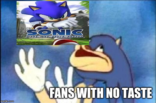 Sonic derp | FANS WITH NO TASTE | image tagged in sonic derp | made w/ Imgflip meme maker