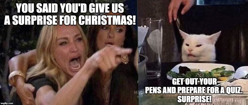 woman yelling at cat | YOU SAID YOU'D GIVE US A SURPRISE FOR CHRISTMAS! GET OUT YOUR PENS AND PREPARE FOR A QUIZ. 
SURPRISE! | image tagged in woman yelling at cat | made w/ Imgflip meme maker