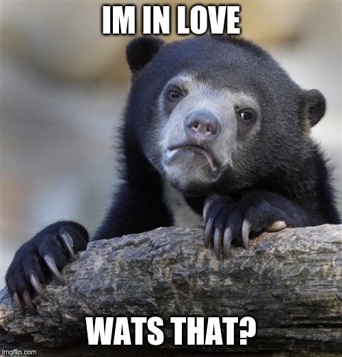 Confession Bear | IM IN LOVE; WATS THAT? | image tagged in memes,confession bear | made w/ Imgflip meme maker