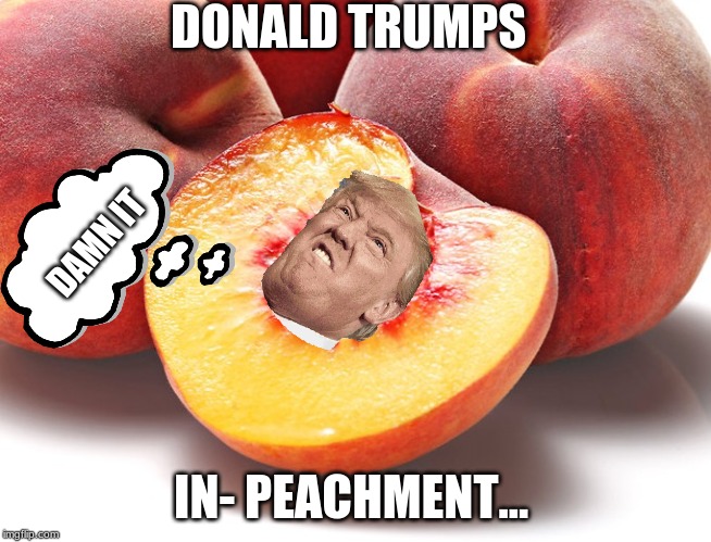 The PUNS are real!!! | DONALD TRUMPS; DAMN IT; IN- PEACHMENT... | image tagged in donald trump | made w/ Imgflip meme maker