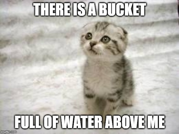 Sad Cat | THERE IS A BUCKET; FULL OF WATER ABOVE ME | image tagged in memes,sad cat | made w/ Imgflip meme maker