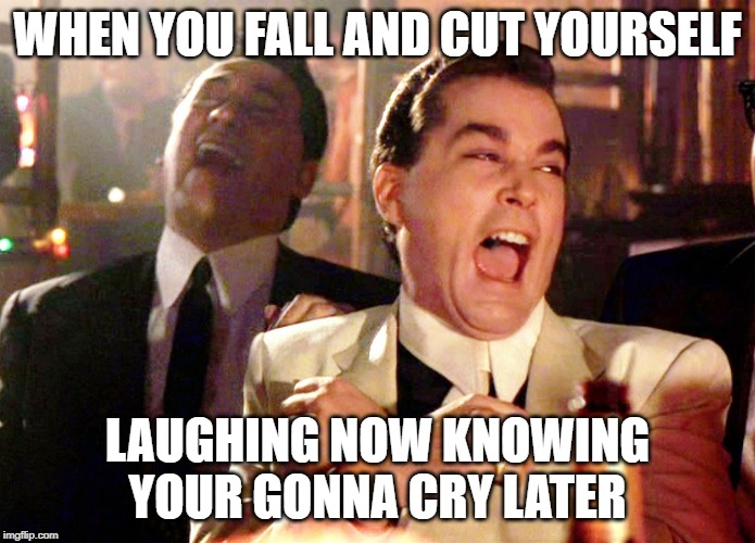Good Fellas Hilarious | WHEN YOU FALL AND CUT YOURSELF; LAUGHING NOW KNOWING YOUR GONNA CRY LATER | image tagged in memes,good fellas hilarious | made w/ Imgflip meme maker