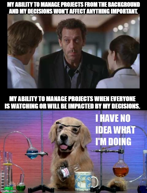 MY ABILITY TO MANAGE PROJECTS FROM THE BACKGROUND AND MY DECISIONS WON'T AFFECT ANYTHING IMPORTANT. MY ABILITY TO MANAGE PROJECTS WHEN EVERYONE IS WATCHING OR WILL BE IMPACTED BY MY DECISIONS. | image tagged in house md,intj | made w/ Imgflip meme maker