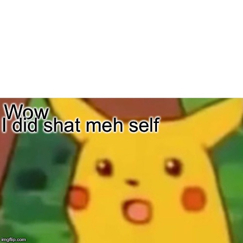 Surprised Pikachu | Wow; I did shat meh self | image tagged in memes,surprised pikachu | made w/ Imgflip meme maker