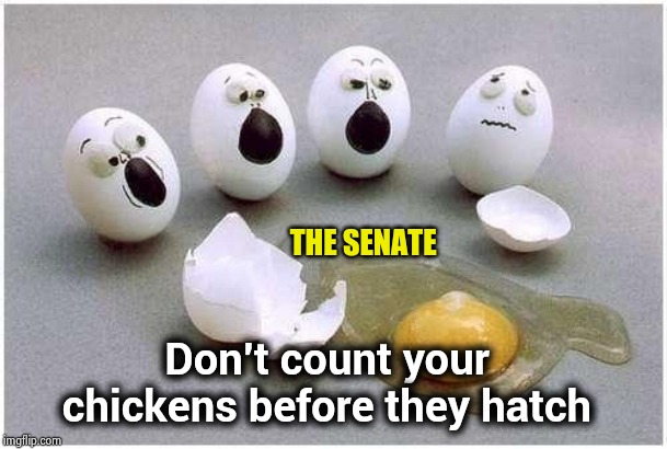 More wasted time and money | THE SENATE; Don't count your chickens before they hatch | image tagged in this broken egg,politicians suck,shut up and take my money,arrogant,rich,tell me | made w/ Imgflip meme maker