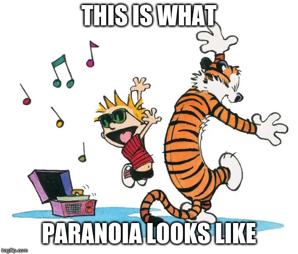 THIS IS WHAT; PARANOIA LOOKS LIKE | made w/ Imgflip meme maker