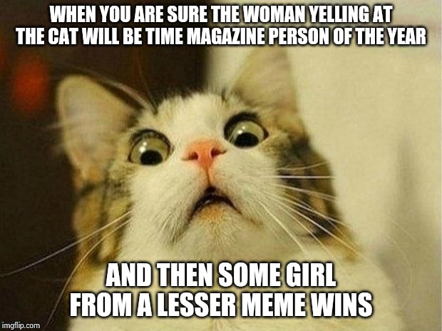 OMG!  You gotta be kidding! | WHEN YOU ARE SURE THE WOMAN YELLING AT THE CAT WILL BE TIME MAGAZINE PERSON OF THE YEAR; AND THEN SOME GIRL FROM A LESSER MEME WINS | image tagged in memes,scared cat,woman yelling at cat | made w/ Imgflip meme maker