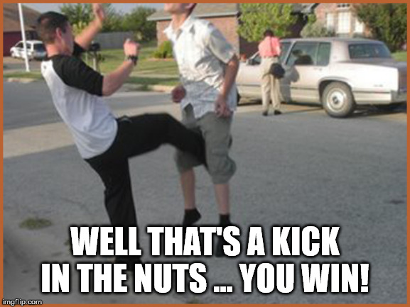 Kick in nuts | WELL THAT'S A KICK IN THE NUTS ... YOU WIN! | image tagged in kick in nuts | made w/ Imgflip meme maker