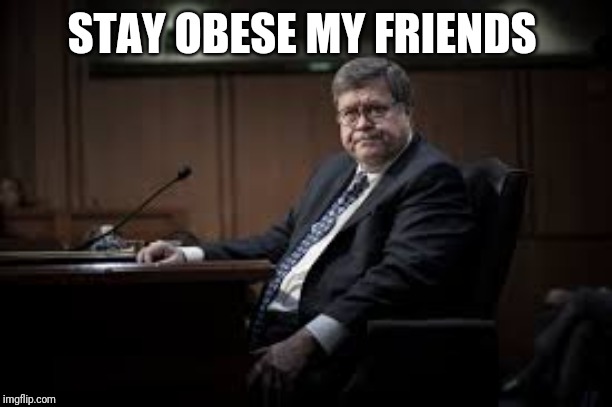 STAY OBESE MY FRIENDS | image tagged in barr,obese | made w/ Imgflip meme maker