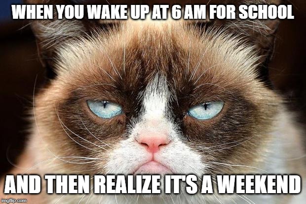 Grumpy Cat Not Amused Meme | WHEN YOU WAKE UP AT 6 AM FOR SCHOOL; AND THEN REALIZE IT'S A WEEKEND | image tagged in memes,grumpy cat not amused,grumpy cat | made w/ Imgflip meme maker