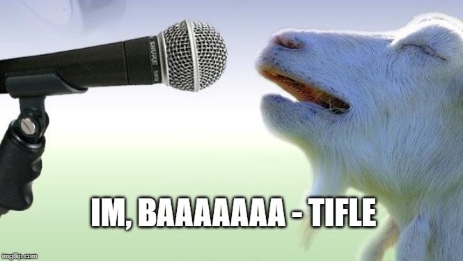 goat singing | IM, BAAAAAAA - TIFLE | image tagged in goat singing | made w/ Imgflip meme maker