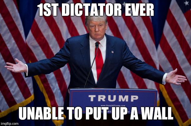 Donald Trump | 1ST DICTATOR EVER UNABLE TO PUT UP A WALL | image tagged in donald trump | made w/ Imgflip meme maker