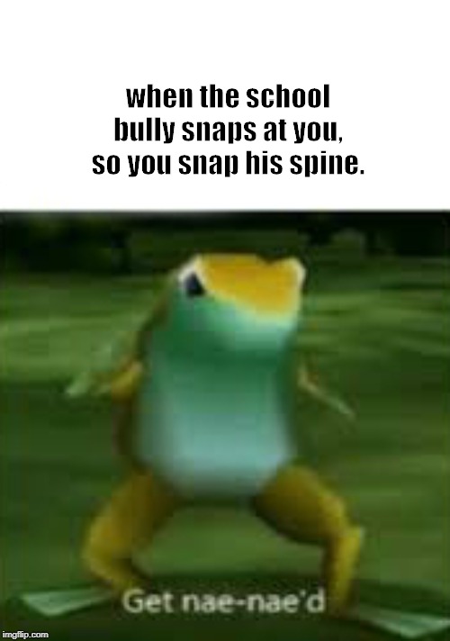 Get nae nae'd | when the school bully snaps at you, so you snap his spine. | image tagged in get nae nae'd | made w/ Imgflip meme maker