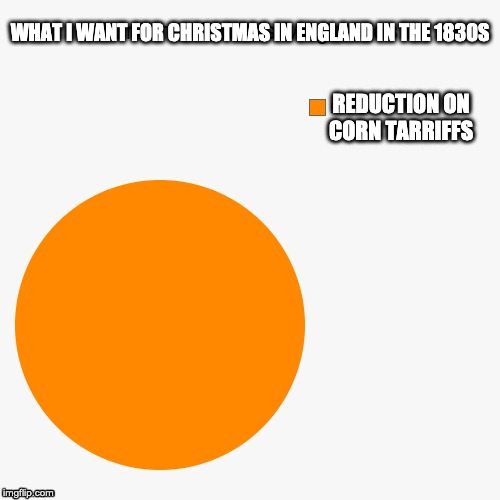 Pie Chart | WHAT I WANT FOR CHRISTMAS IN ENGLAND IN THE 1830S; REDUCTION ON CORN TARRIFFS | image tagged in pie chart | made w/ Imgflip meme maker