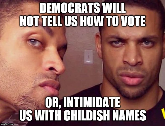 Blacks Against Democrat Oppression! | DEMOCRATS WILL NOT TELL US HOW TO VOTE; OR, INTIMIDATE US WITH CHILDISH NAMES | image tagged in hodge twins,memes | made w/ Imgflip meme maker