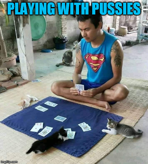 PLAYING WITH PUSSIES | made w/ Imgflip meme maker