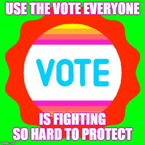 Vote GIF | USE THE VOTE EVERYONE; IS FIGHTING SO HARD TO PROTECT | image tagged in vote gif | made w/ Imgflip meme maker